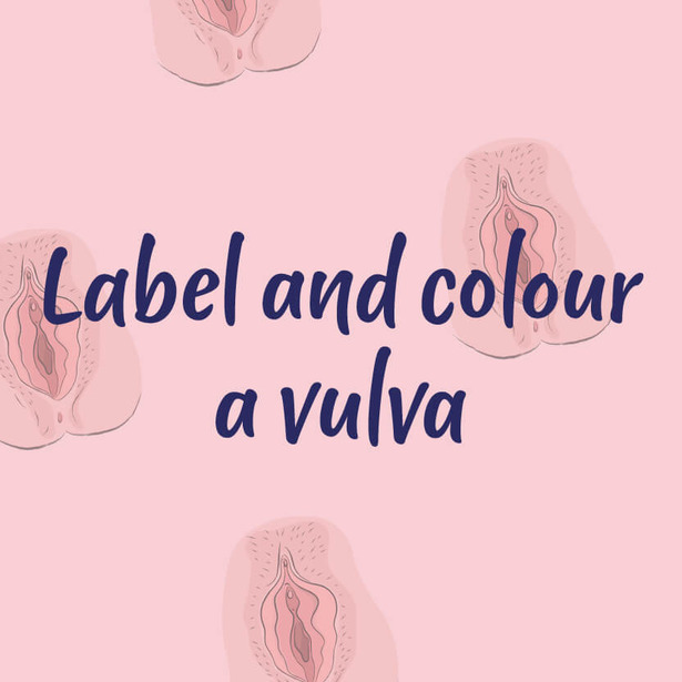 Banner with text "Label and colour a vulva"